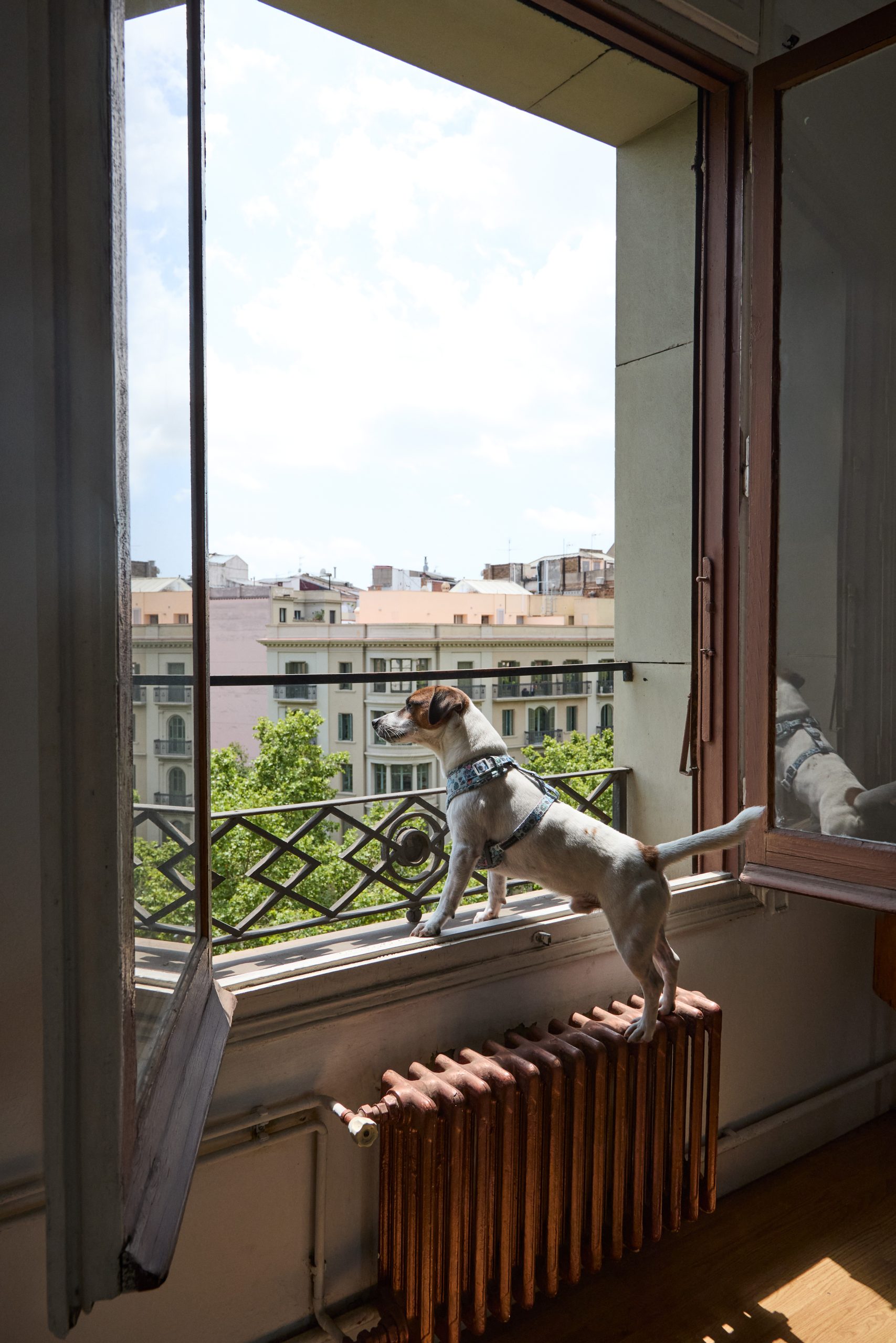 WOW Hostel Barcelona - Tu alojamiento en Barcelona